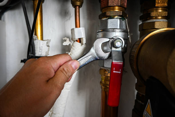 Best Toilet Repair Services  in Lumbine, CO